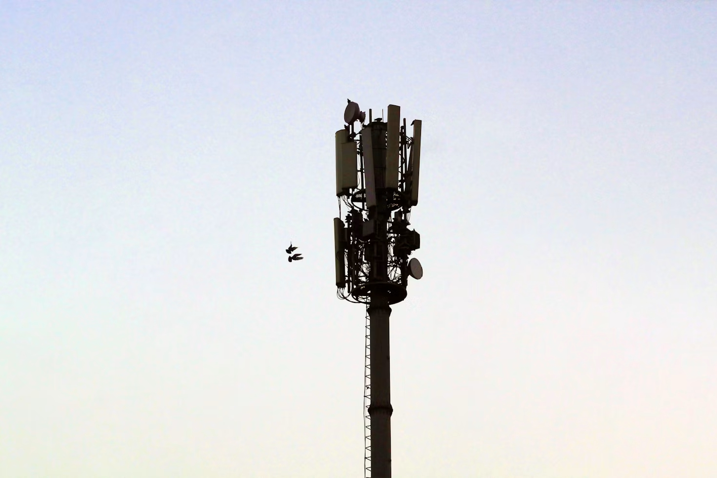 Une antenne 5G.